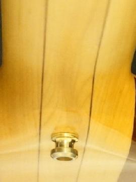 Alembic Custom Stanley Clarke Essence Short Scale Bass Stunning with Case